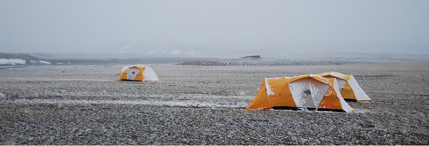 Arctic Field Camp