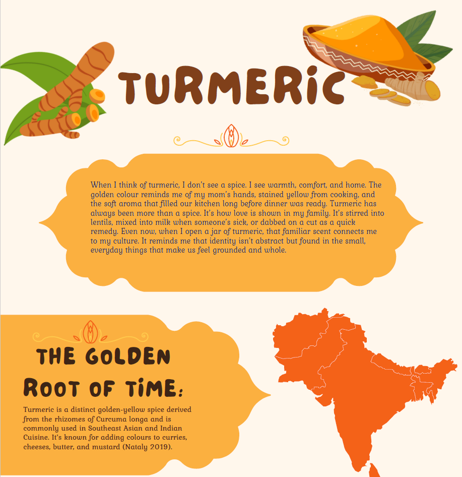 Humaira's Turmeric Infographic