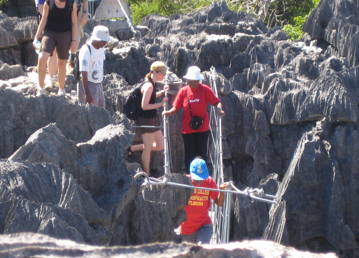International Field Courses (Western)