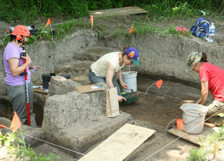 Specialized Anthropology Skills