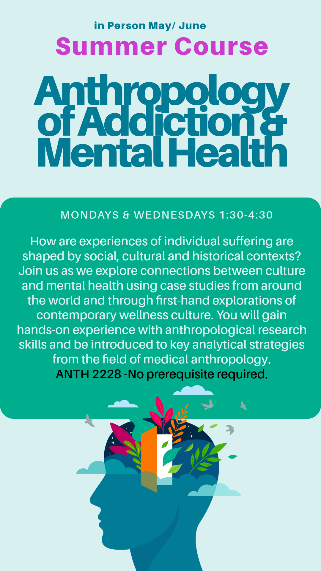 Anth 2228 summer course poster